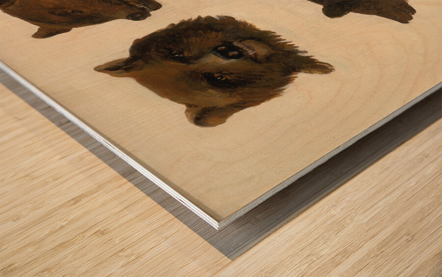 Portraits of Two Grizzly Bears From Life 1839-1840 Wood print