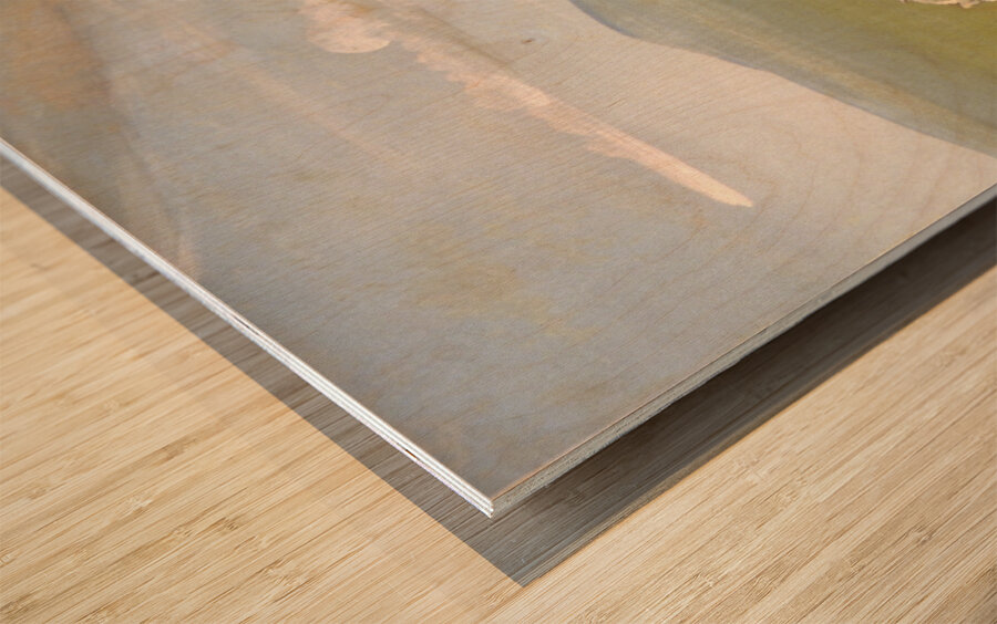 White Wolves Attacking a Buffalo Bull 1832-1833 Wood print