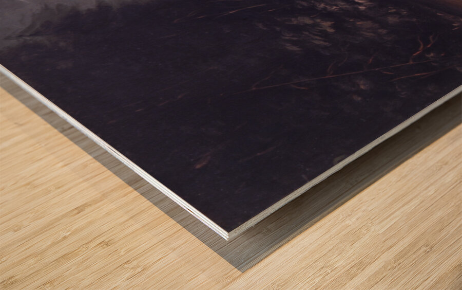 Deer Hunting By Torchlight In Bark Canoes 1846-1848 Wood print