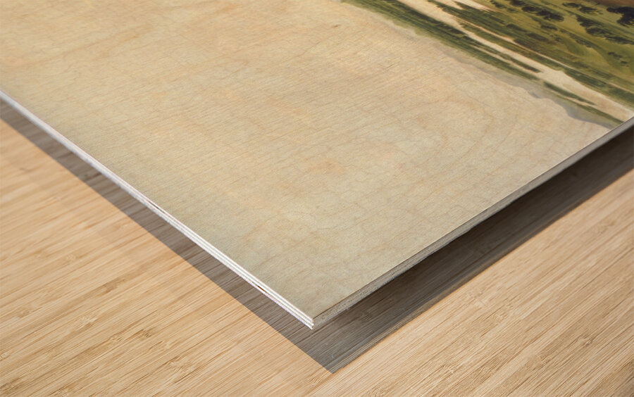 Mouth Of The Platte River 900 Miles Above St. Louis 1832 Wood print