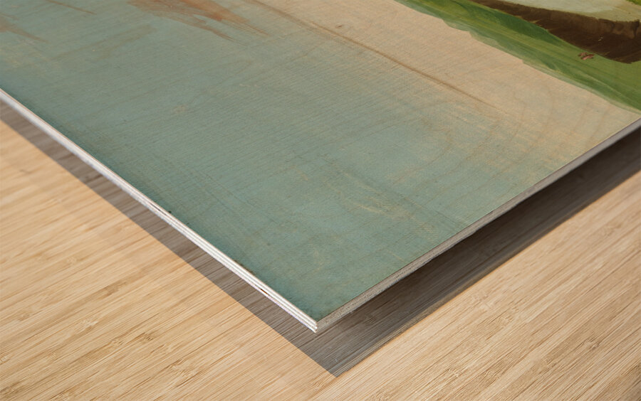 Distant View Of The Mandan Village 1832 Wood print