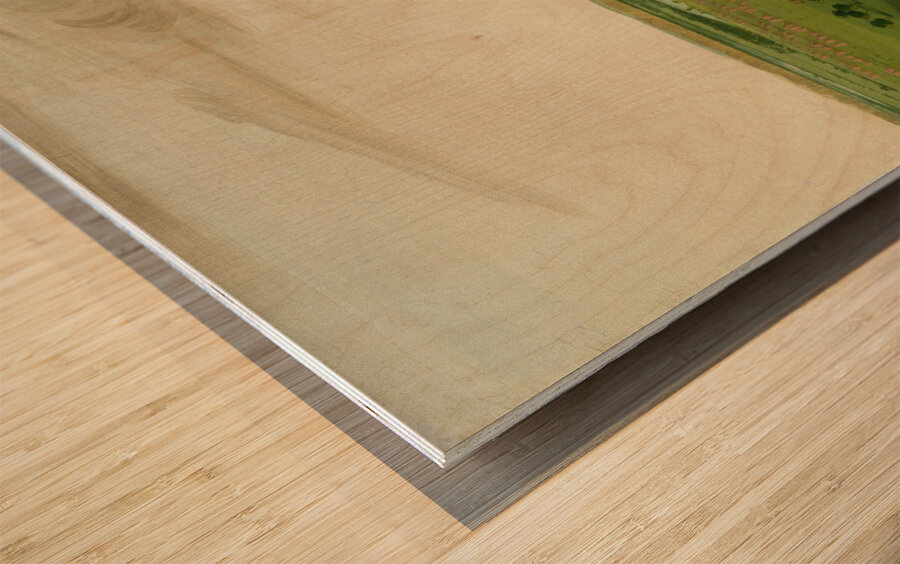 Fort Union Mouth of the Yellowstone River 2000 Miles above St. Louis Wood print