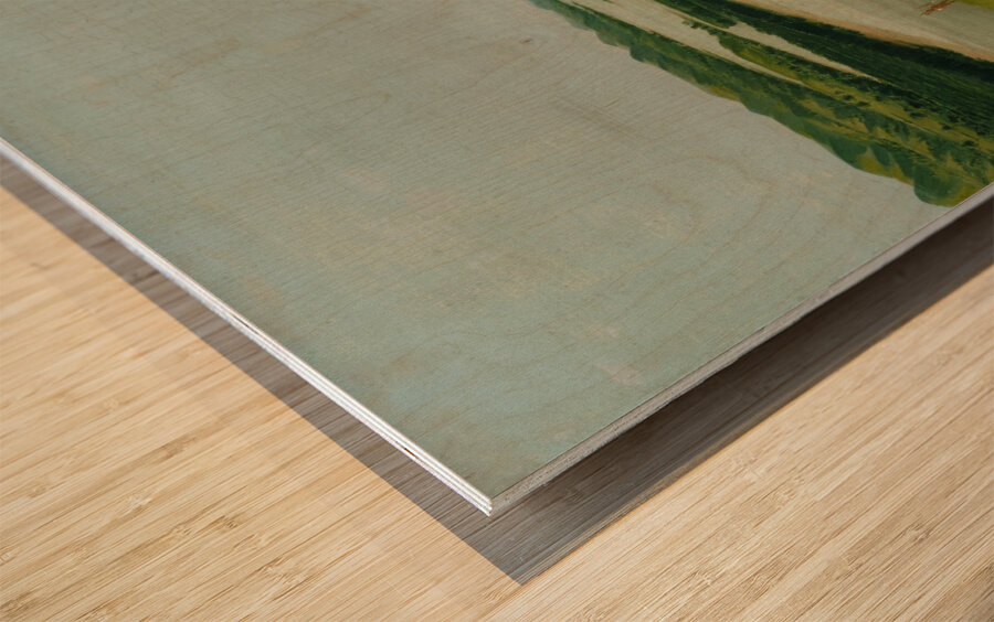 River Bluffs 1320 Miles Above St. Louis 1832 Wood print