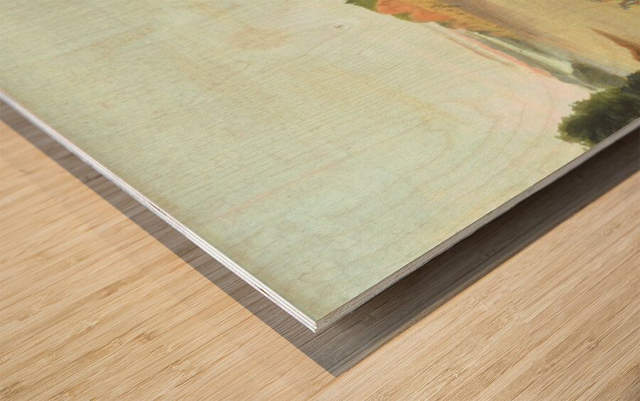 South Side Of Buffalo Island Showing Buffalo Berries In The Foreground 1832 Wood print