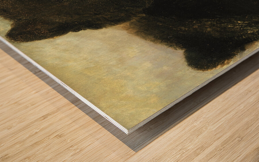 Weapons and Physiognomy of the Grizzly Bear 1846-1848 Wood print