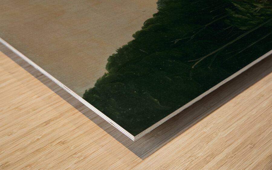 View On The Missouri Alluvial Banks Falling In 600 Miles Above St. Louis 1832 Wood print