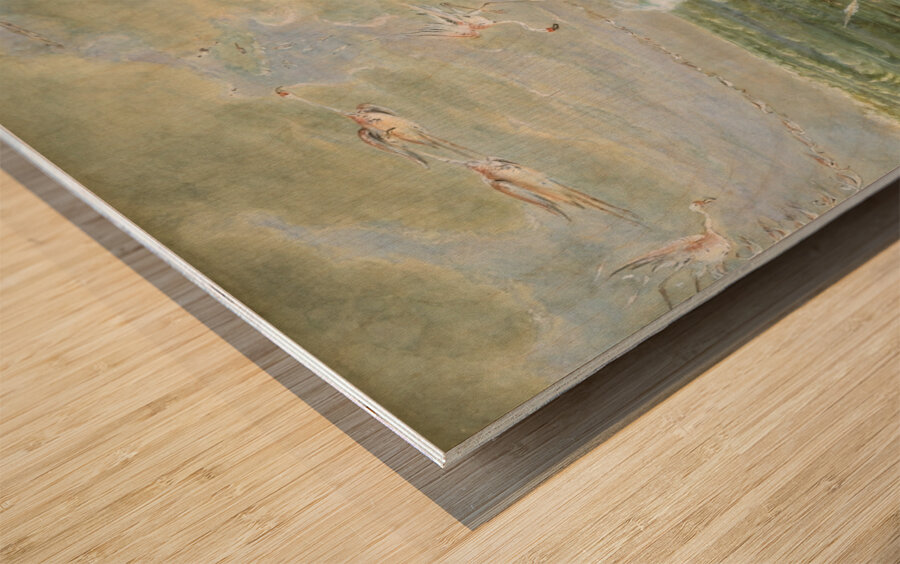 Flamingo Shooting in South America 1856 Wood print