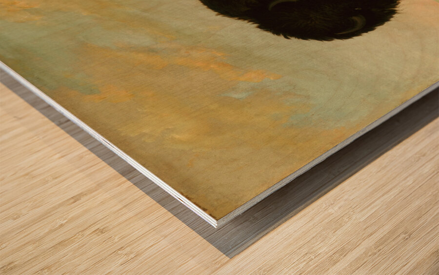 Buffalo Bull Grazing on the Prairie 1832-1833 Wood print