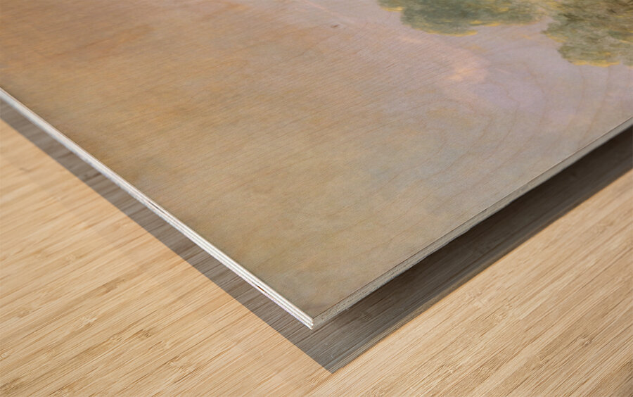 Elk and Buffalo Making Acquaintance Texas 1846-1848 Wood print