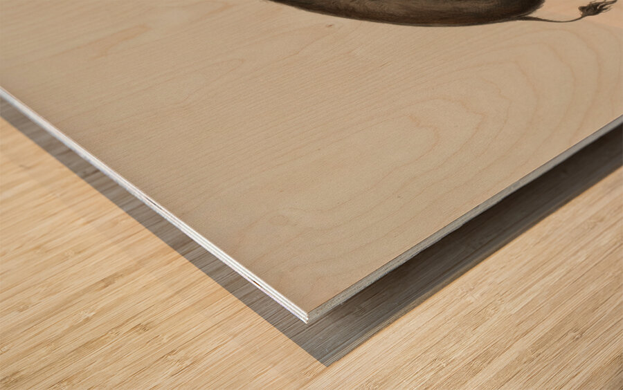 Wounded Buffalo Bull 1844 Wood print