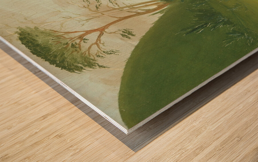 River Bluffs With White Wolves In The Foreground Upper Missouri 1832 Wood print