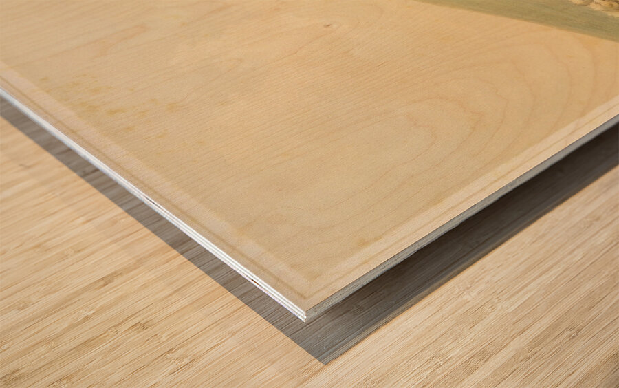 Buffalo Hunt White Wolves Attacking Buffalo Bull 1844  Wood print