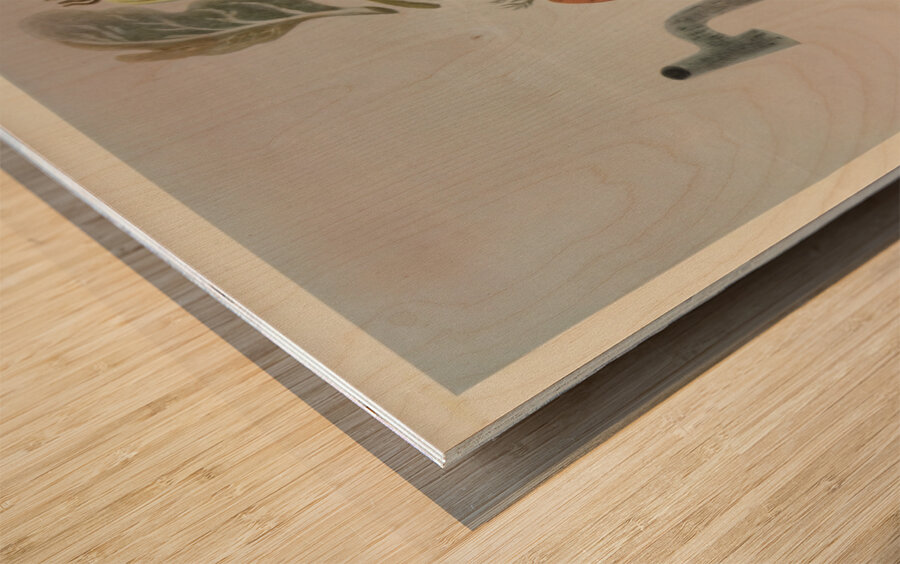 The Effects of Over-Cooking and Keeping Hot  Wood print