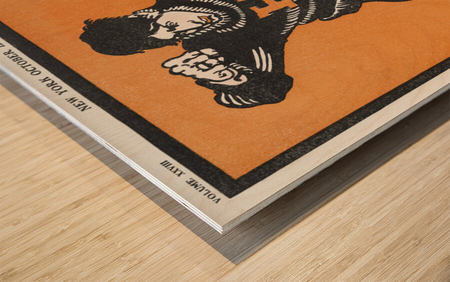 American football player 1901 by Edward Penfield Wood print