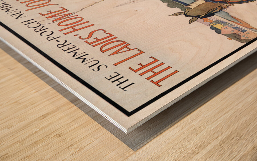 The Summer-Porch Number of The Ladies Home Journal 1908 by Edward Penfield Wood print