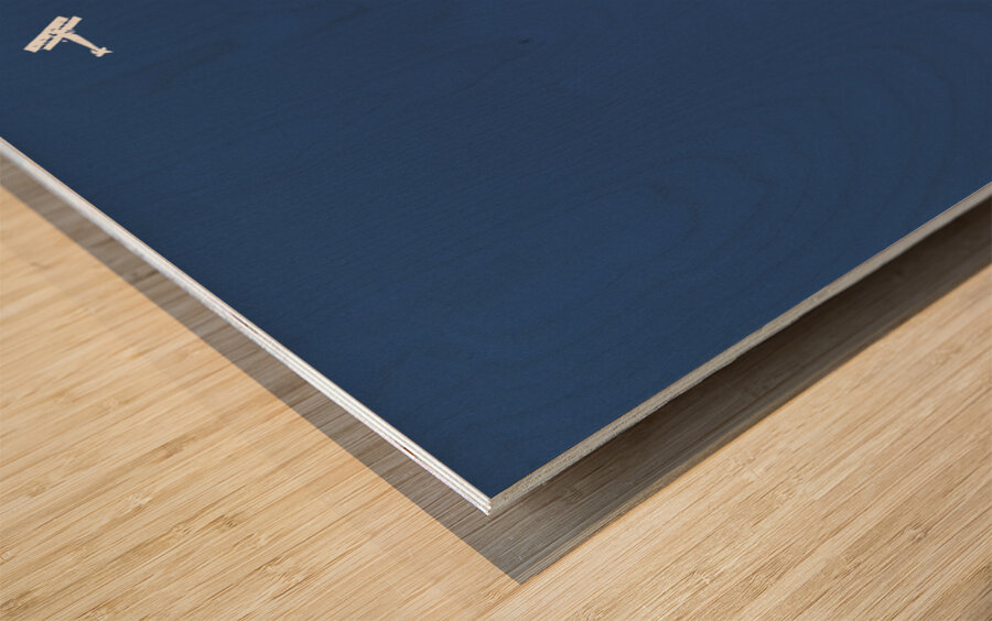 High Adventure 1907 by Edward Penfield Wood print