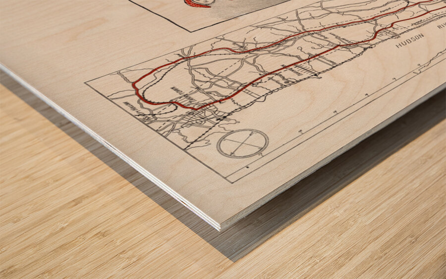 Bicycle road maps 1895 by Edward Penfield Wood print