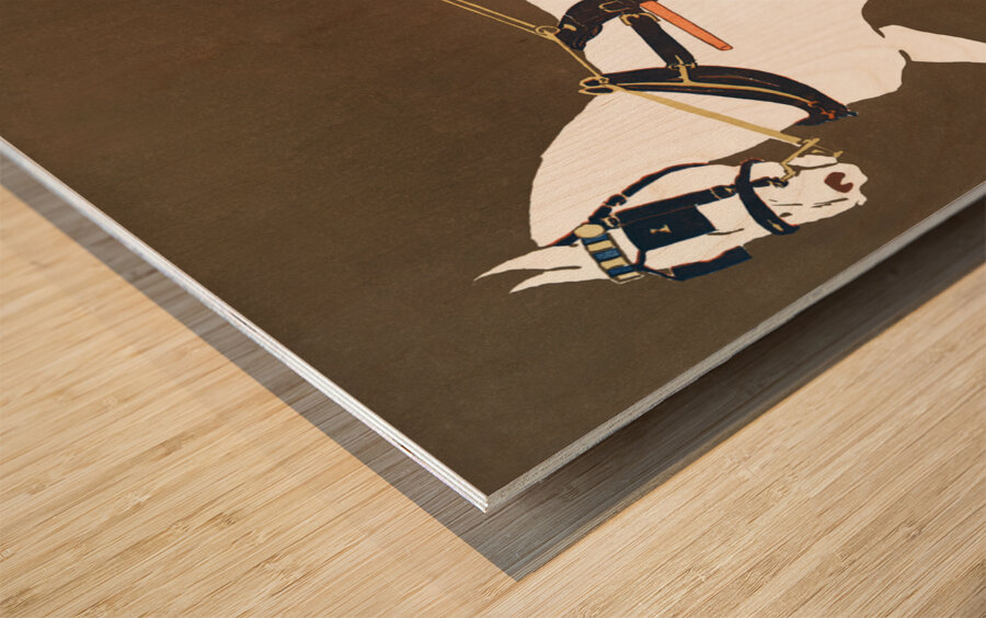 Women in Carriage ca. 1890-1907 by Edward Penfield Wood print