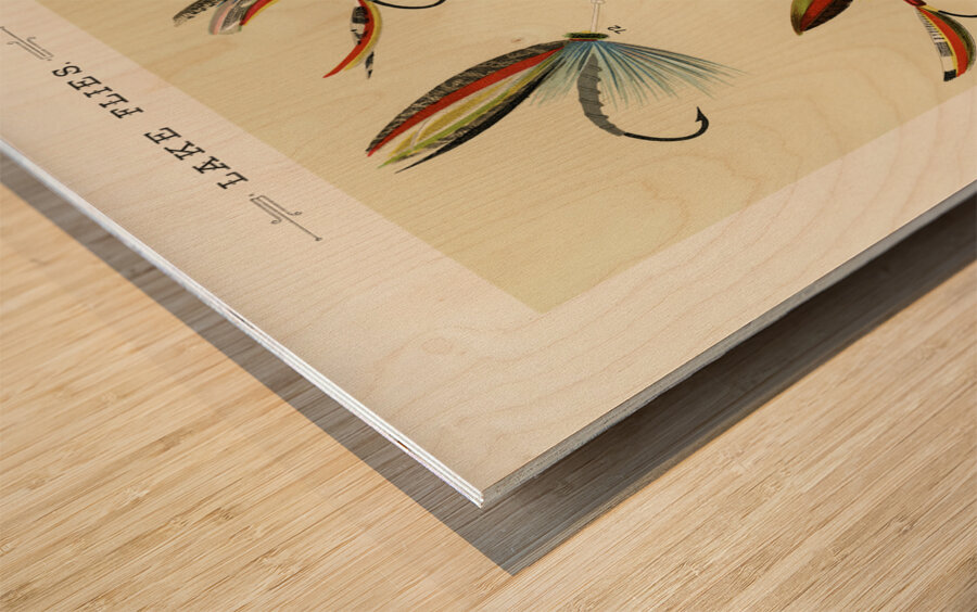 Mary Orvis Marbury 027 Wood print