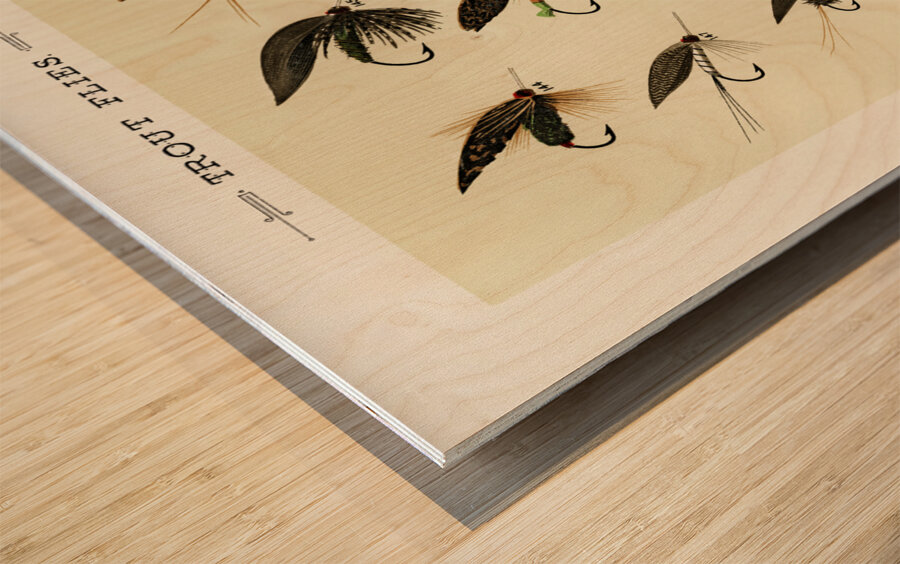 Trout Flies  Wood print