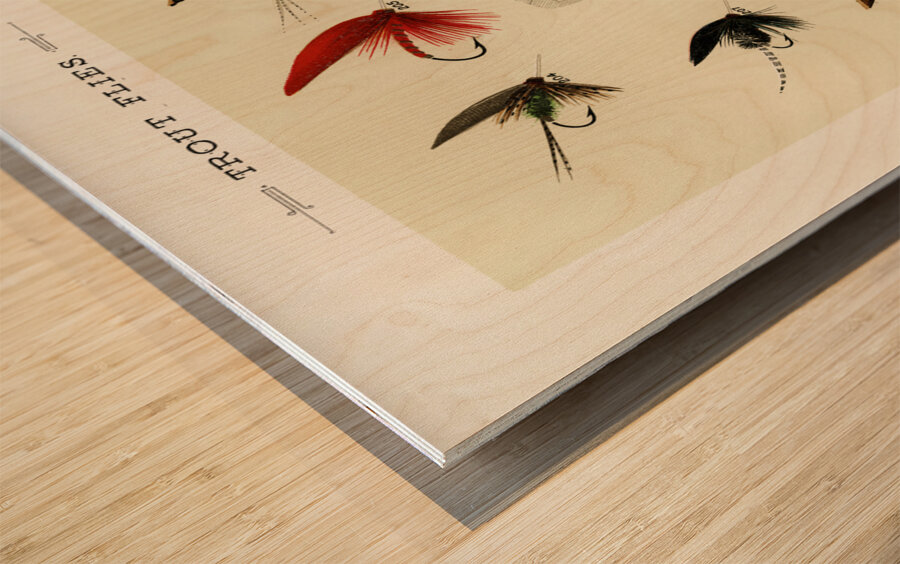 Trout Flies  Wood print