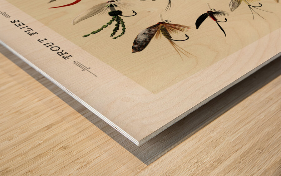 Trout Flies  Wood print