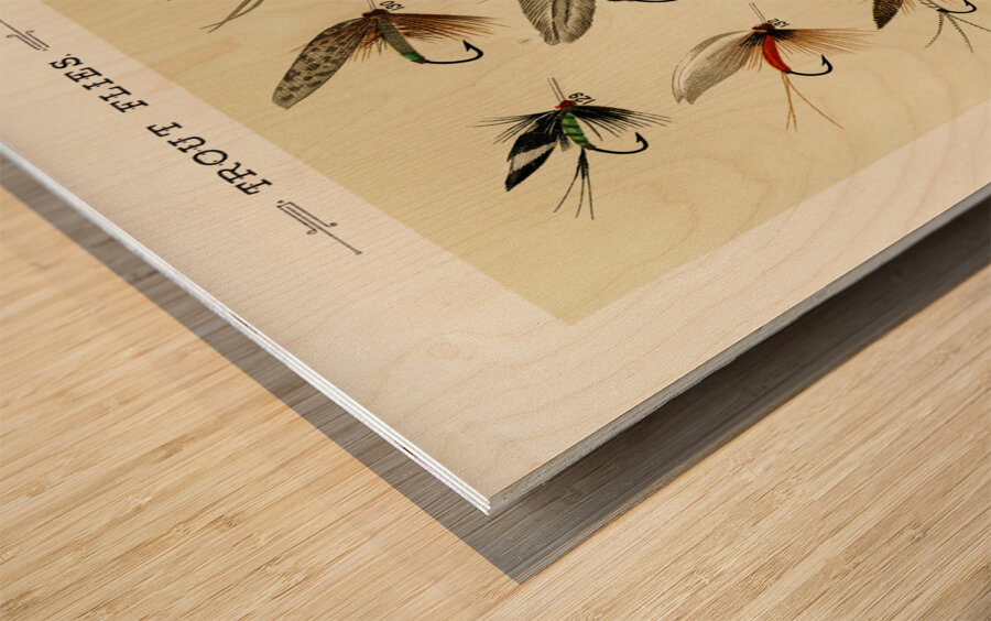 Trout Flies  Wood print