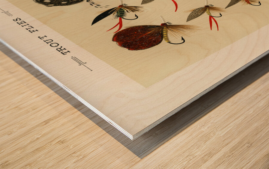 Trout Flies  Wood print