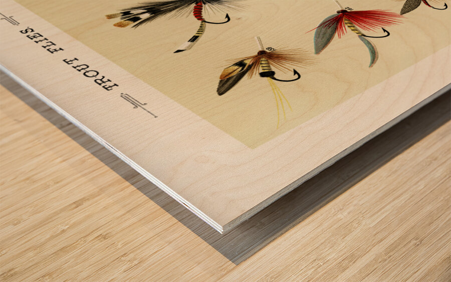 Trout Flies  Wood print