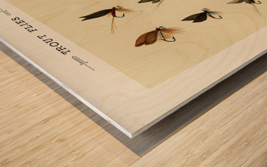 Trout Flies  Wood print
