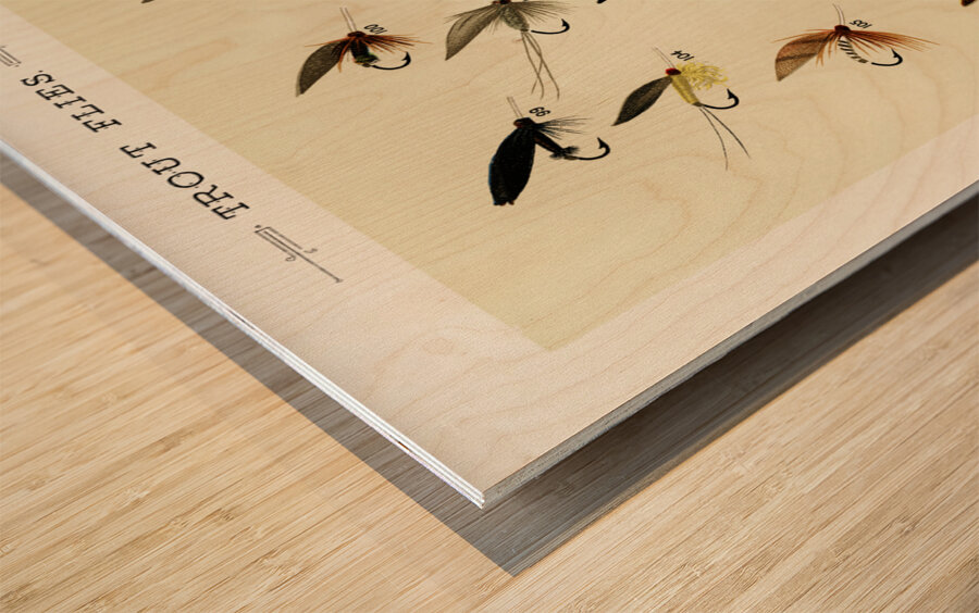 Trout Flies  Wood print