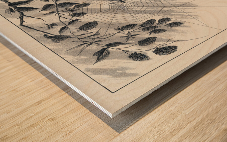 Lake Flies  Wood print