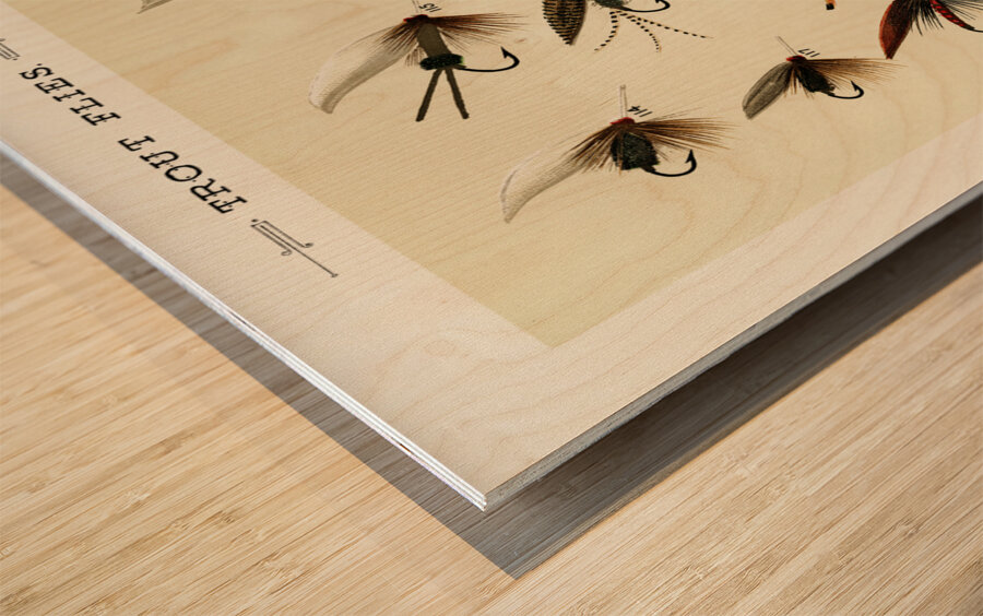 Trout Flies  Wood print