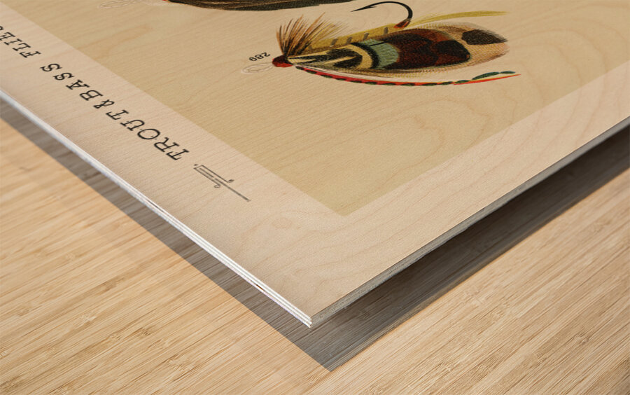 Trout & Bass Flies  Wood print