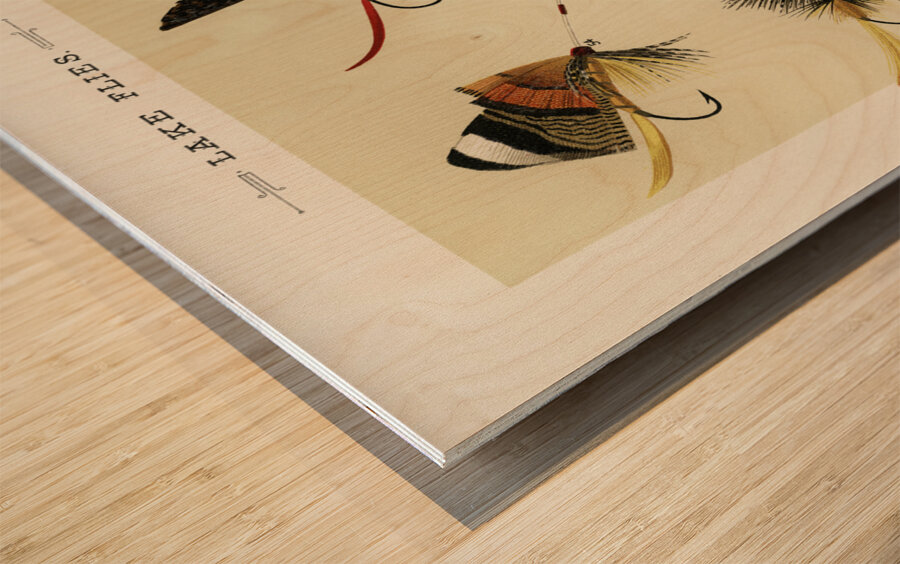 Trout & Bass Flies  Wood print
