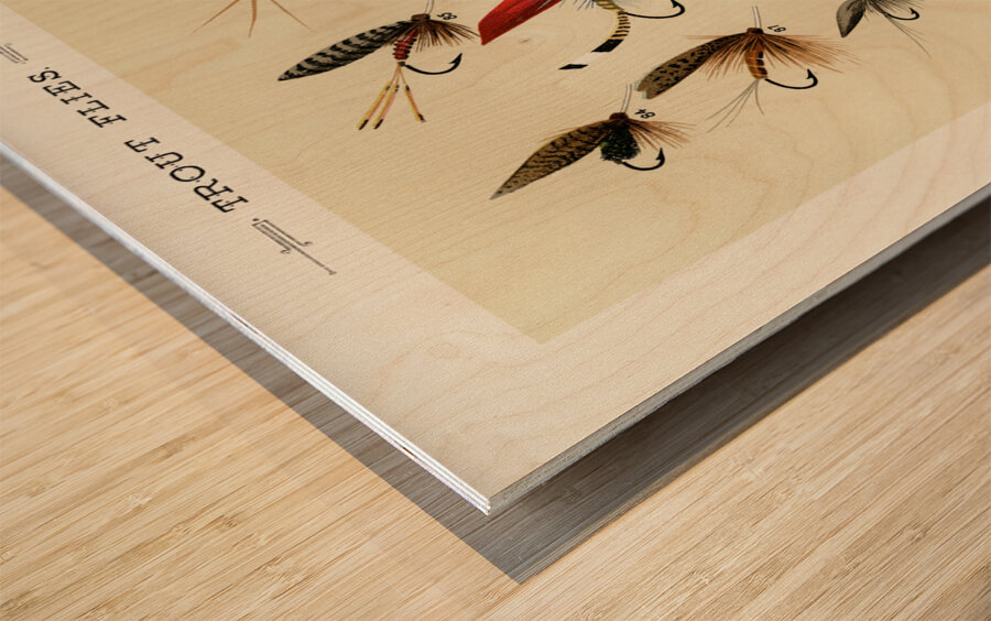 Trout Flies  Wood print