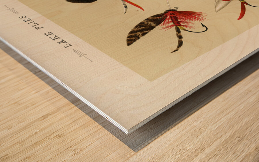Lake Flies  Wood print