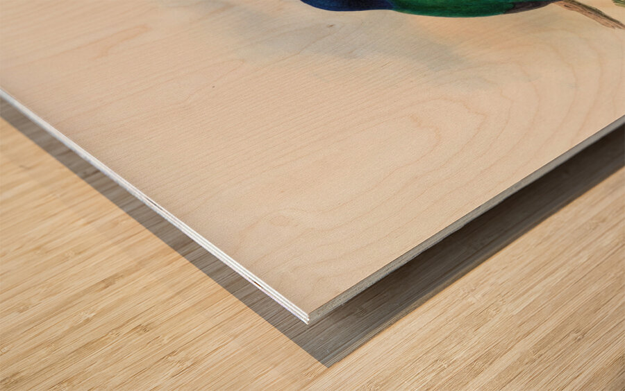 John Gould trogons 031 Wood print