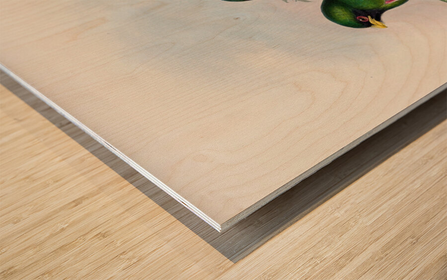 John Gould trogons 016 Wood print