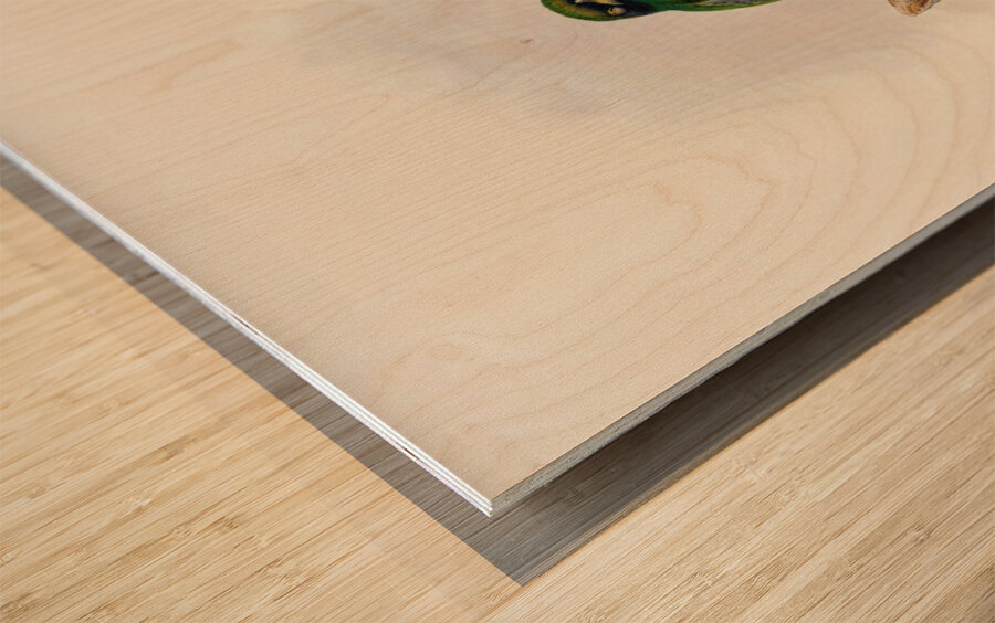 John Gould trogons 039 Wood print