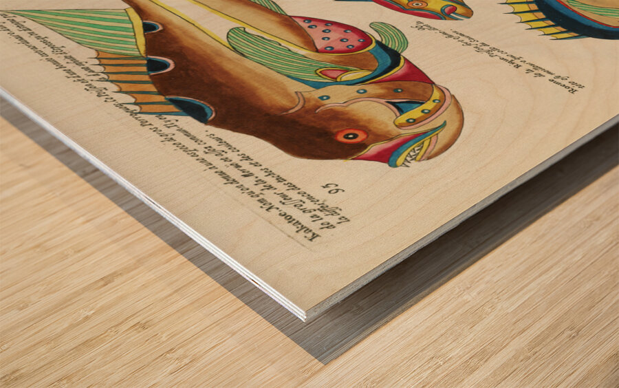 Colourful and surreal illustrations of fishes found in Moluccas Indonesia and the East Indies by Louis Renard 1678 -1746 from Histoire naturelle des plus rares curiositez de la mer des Indes 1754. Wood print