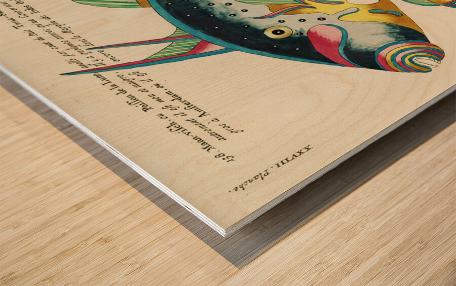 Colourful and surreal illustrations of maribe life found in Moluccas Indonesia and the East Indies by Louis Renard 1678 -1746 from Histoire naturelle des plus rares curiositez de la mer des Indes 1754. Wood print