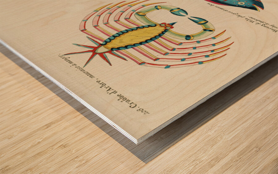 Colourful and surreal illustrations of fishes and crab found in Moluccas Indonesia and the East Indies by Louis Renard 1678 -1746 from Histoire naturelle des plus rares curiositez de la mer des Indes 1754. Wood print