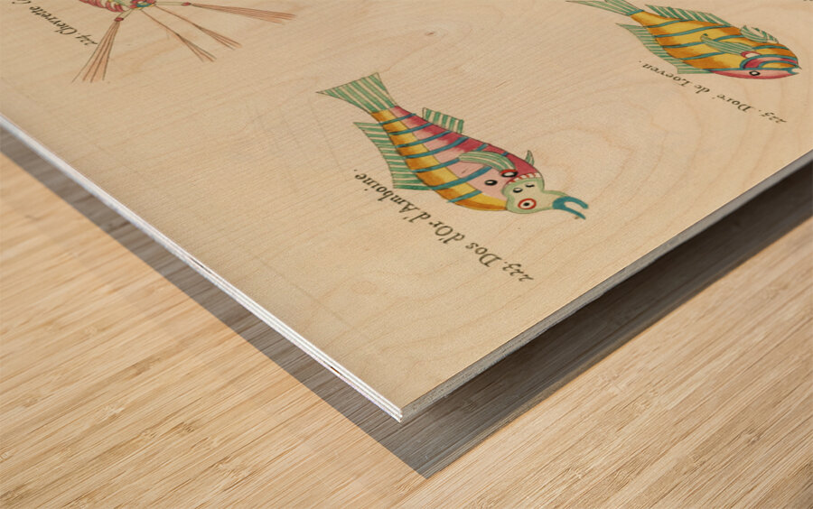 Colourful and surreal illustrations of fishes lobsters and crab found in Moluccas Indonesia and the East Indies by Louis Renard 1678 -1746 from Histoire naturelle des plus rares curiositez de la mer des Indes 1754. Wood print