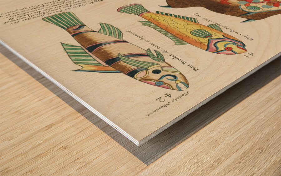 Colourful and surreal illustrations of fishes found in Moluccas Indonesia and the East Indies by Louis Renard 1678 -1746 from Histoire naturelle des plus rares curiositez de la mer des Indes 1754. Wood print