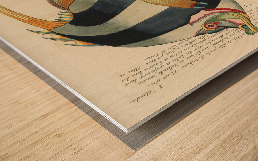 Colourful and surreal illustrations of fishes found in Moluccas Indonesia and the East Indies by Louis Renard 1678 -1746 from Histoire naturelle des plus rares curiositez de la mer des Indes 1754. Wood print