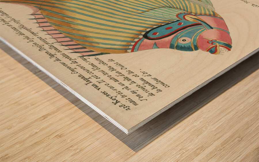 Colourful and surreal illustrations of fishes found in Moluccas Indonesia and the East Indies by Louis Renard 1678 -1746 from Histoire naturelle des plus rares curiositez de la mer des Indes 1754. Wood print