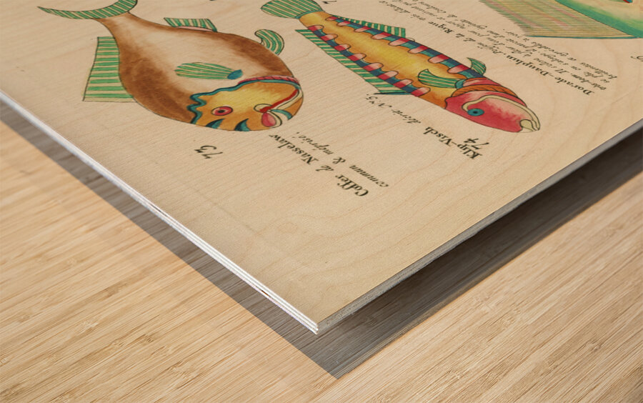 Colourful and surreal illustrations of fishes found in Moluccas Indonesia and the East Indies by Louis Renard 1678 -1746 from Histoire naturelle des plus rares curiositez de la mer des Indes 1754. Wood print