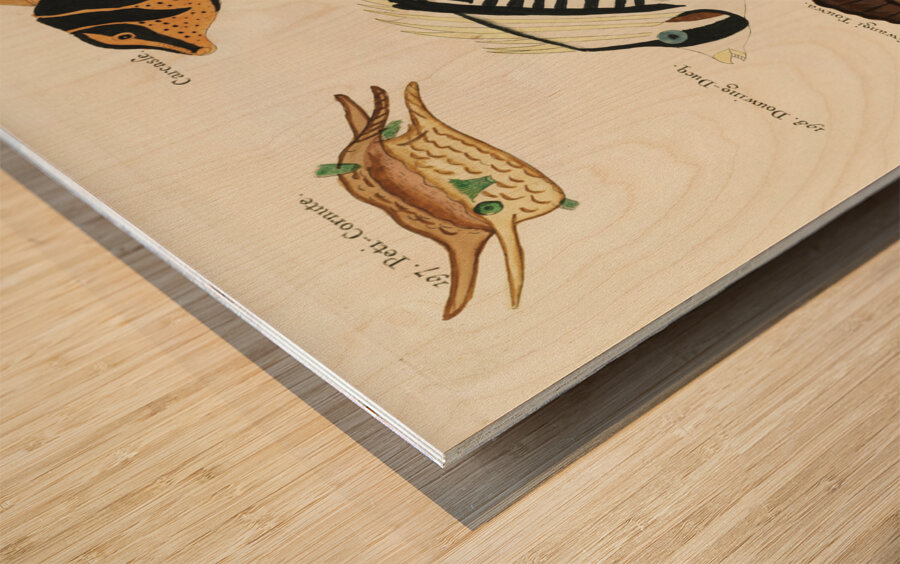 Colourful and surreal illustrations of fishes found in Moluccas Indonesia and the East Indies by Louis Renard 1678 -1746 from Histoire naturelle des plus rares curiositez de la mer des Indes 1754. Wood print