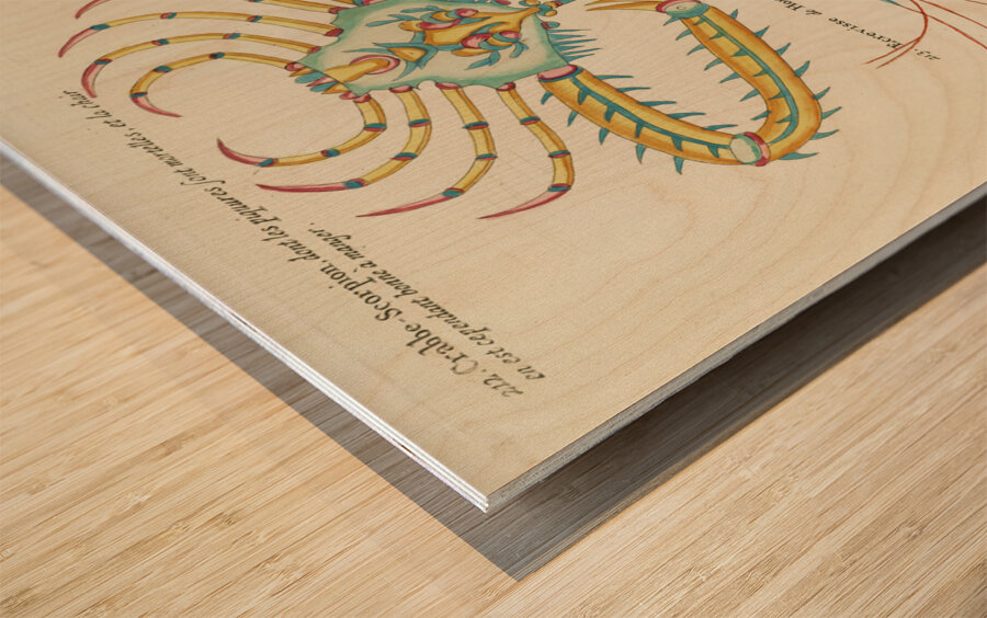 Colourful and surreal illustrations of fishes and  found in the Indian and Pacific Oceans by Louis Renard 1678 -1746 from Histoire naturelle des plus rares curiositez de la mer des Indes 1754. Wood print